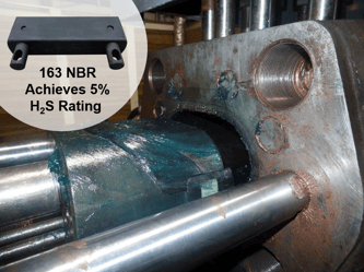 NBR 163 Achieves 5% H2S Rating
